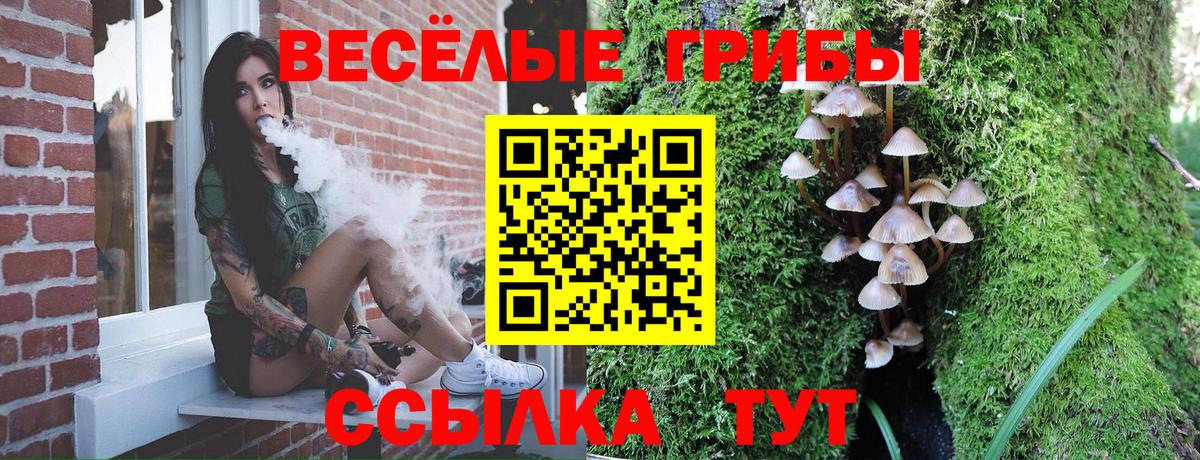 Галлюциногенные грибы ЛСД  Вход с VPN  Ульяновск 