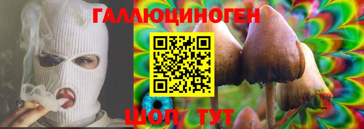 Галлюциногенные грибы Cubensis Ульяновск
